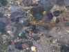 img0027