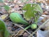 img0019