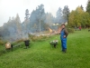 bbq